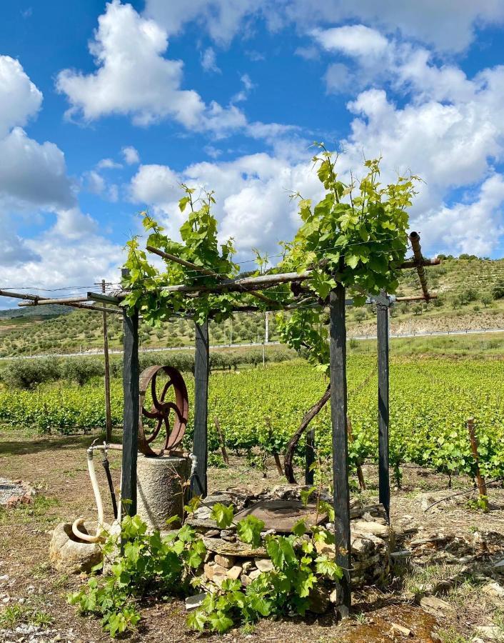 Quinta Do Chao D'Ordem Villa Vila Nova de Fozcoa Exteriör bild