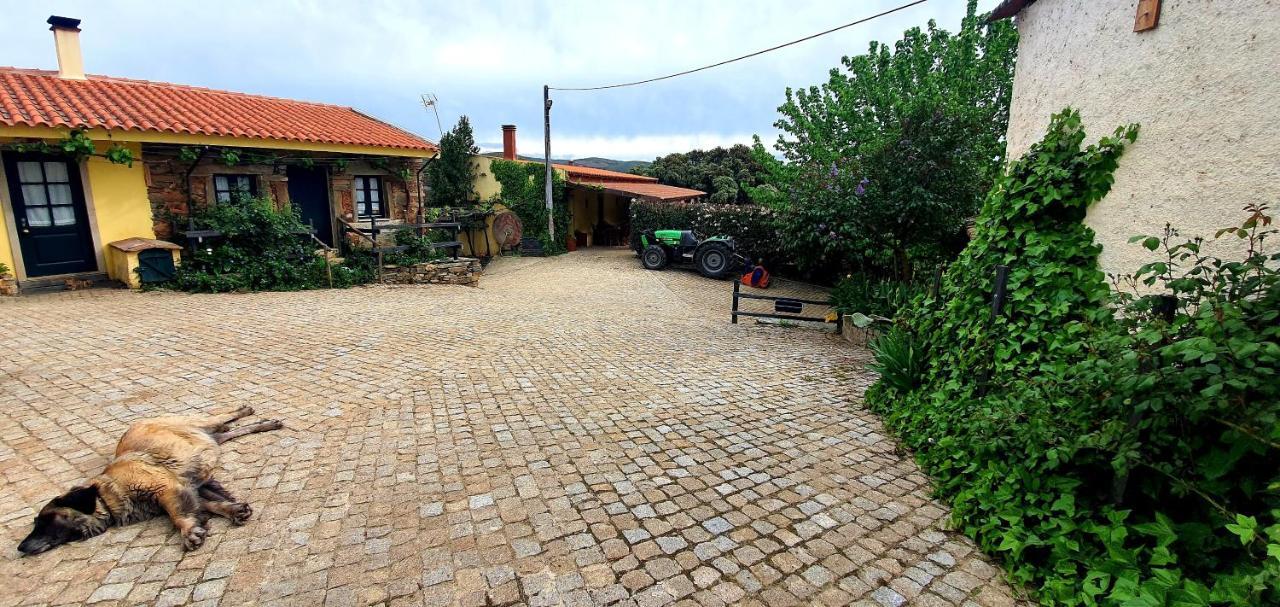 Quinta Do Chao D'Ordem Villa Vila Nova de Fozcoa Exteriör bild